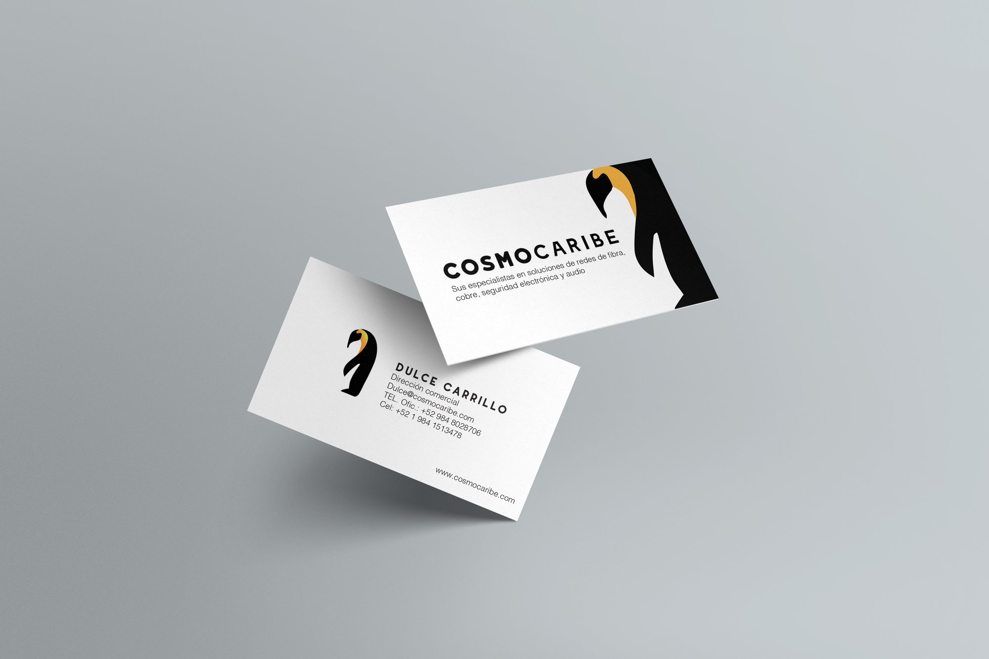 Cosmocaribe, Brand Identity